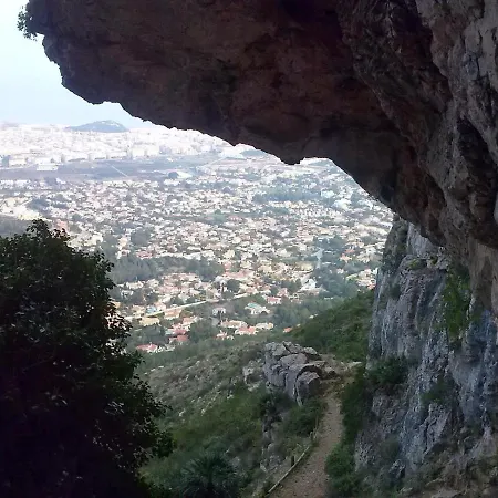 Cirera *